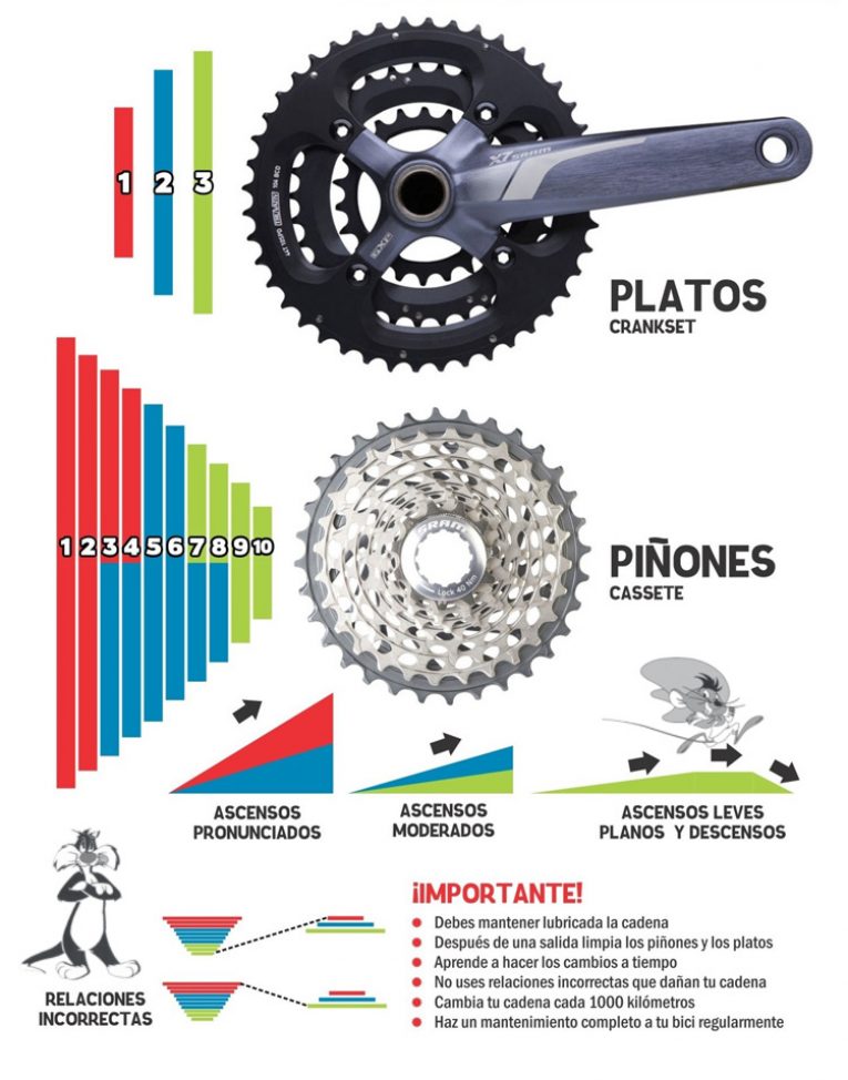 Los Cambios De La Bicicleta Correcto Uso